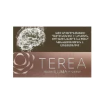 فیلتر یا سیگار ترا / تریا ارمنی تیک Terea Teak